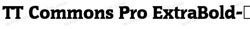TT Commons Pro ExtraBold字体转换